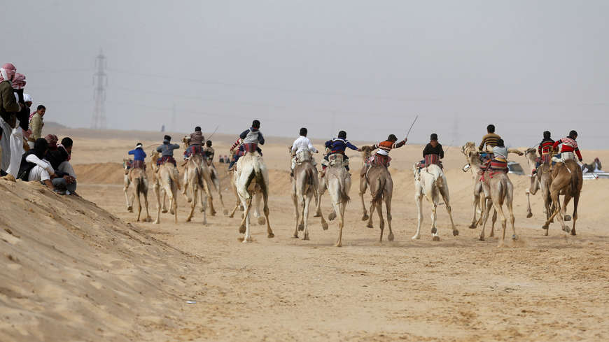 Sharm Camel Racing