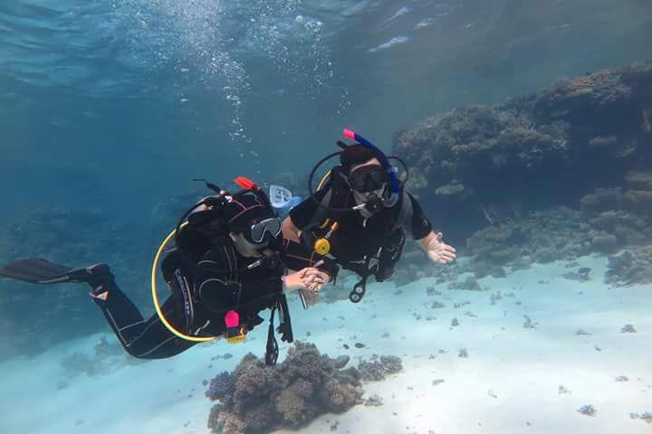 Your Guide in Sharm El Sheikh