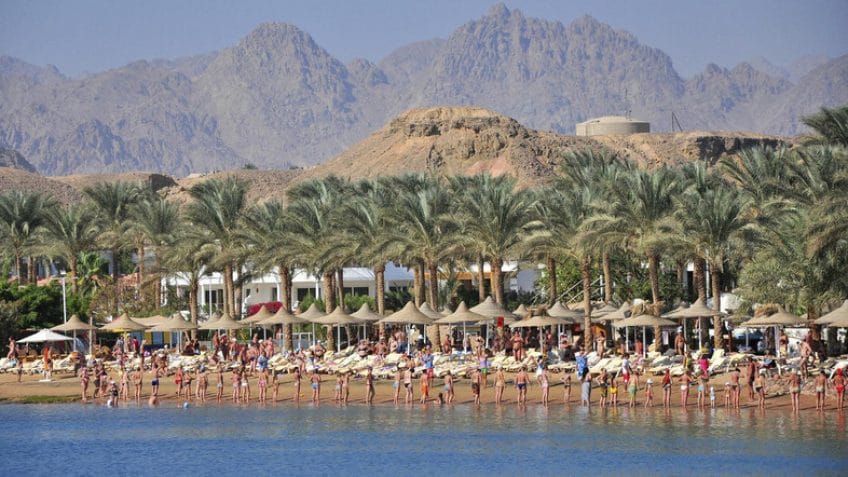 Your Guide in Sharm El Sheikh