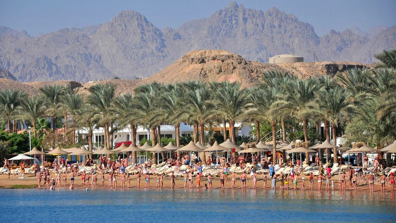 Your Guide in Sharm El Sheikh