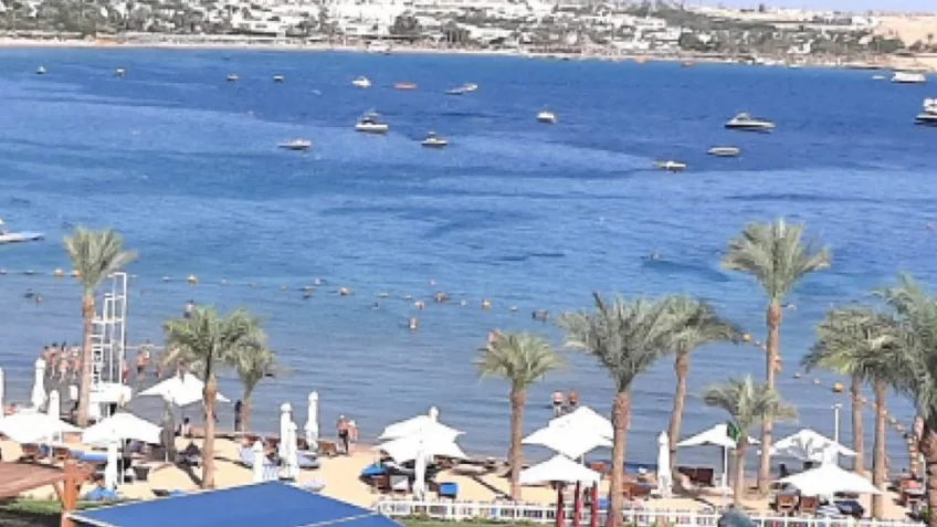 Your Guide in Sharm El Sheikh