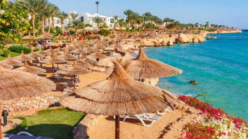 Your Guide in Sharm El Sheikh