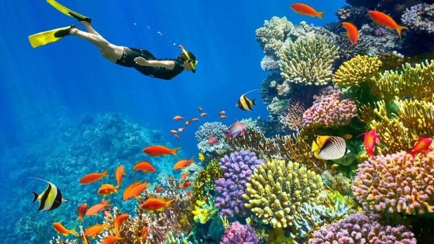 Your Guide in Sharm El Sheikh