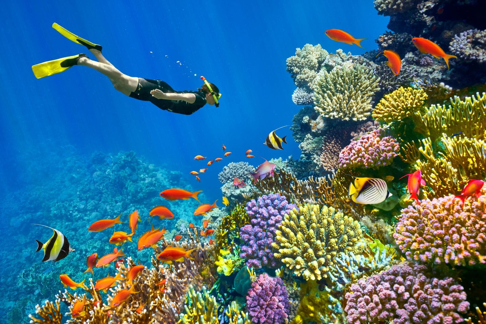 Your Guide in Sharm El Sheikh