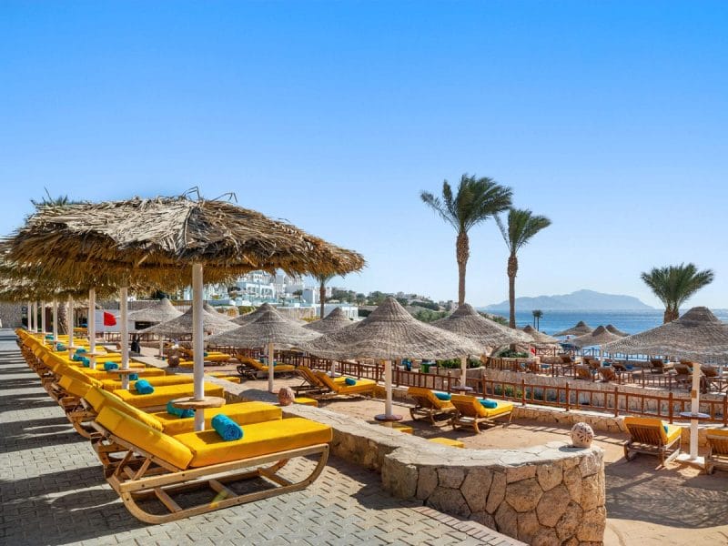 Your Guide in Sharm El Sheikh