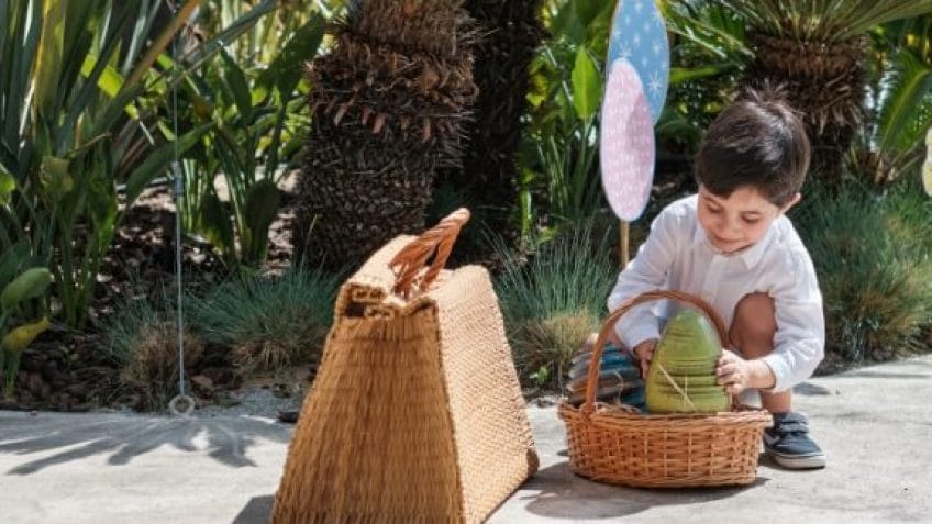 Your Guide in Sharm El Sheikh