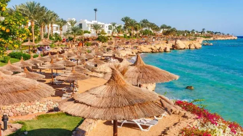 Your Guide in Sharm El Sheikh