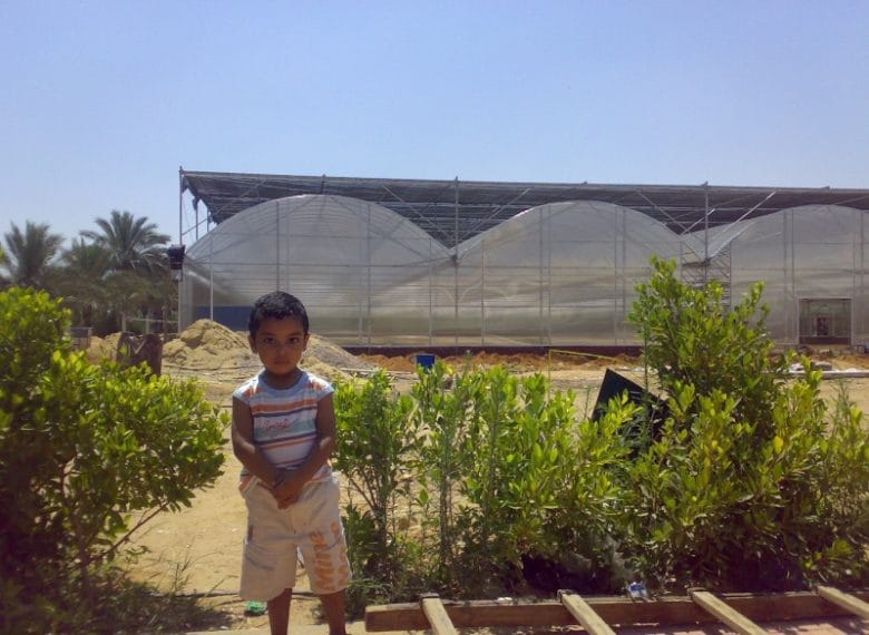 Your Guide in Sharm El Sheikh