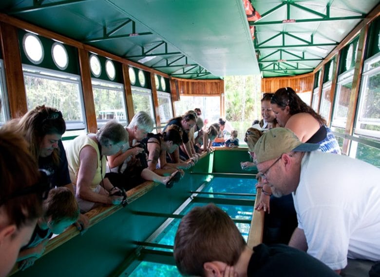 Your Guide in Sharm El Sheikh