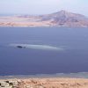 Tiran Island Sharm El Sheikh