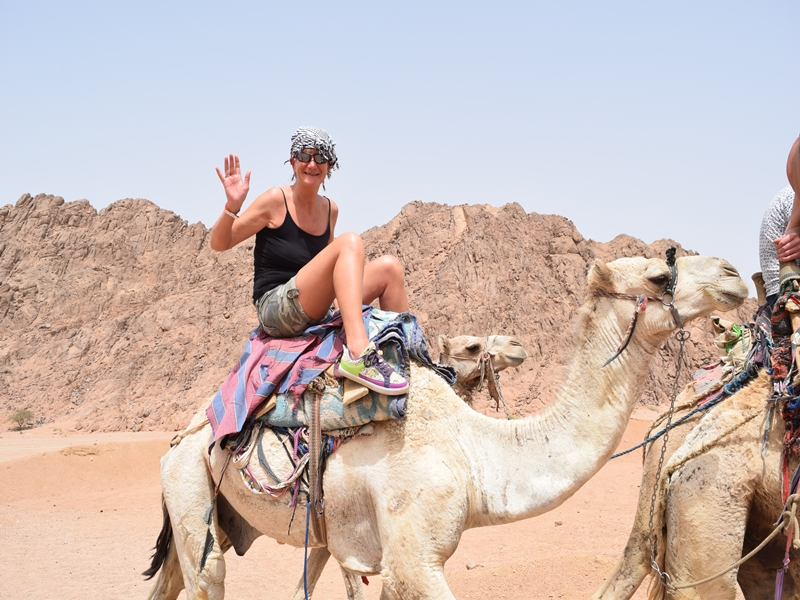 Your Guide in Sharm El Sheikh