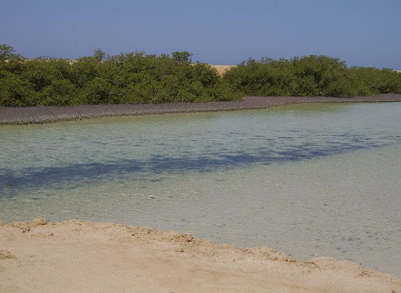 Your Guide in Sharm El Sheikh