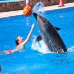 Your Guide in Sharm El Sheikh